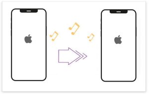 1747128761 transfer music from iphone to iphone.jpg