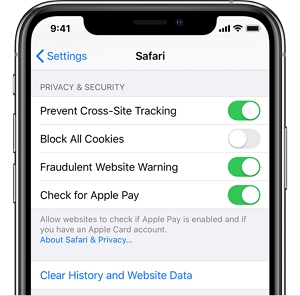 1747413797 safari clear history iphone.jpg