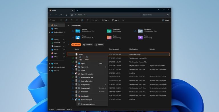 Copilot in windows 11 menu.jpg