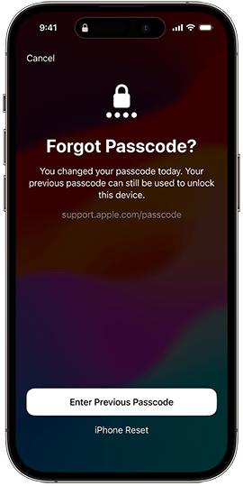 previoous passcode iOS 17を入力します