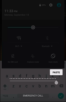 パスワードオプションが表示されます 