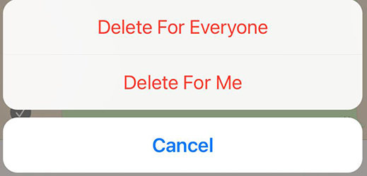 Whatsapp delete message.jpg